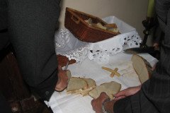 IMG_7557