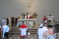 IMG_0559